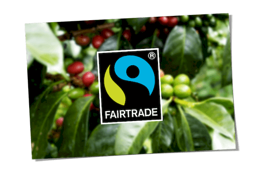 Teaser Fairtrade