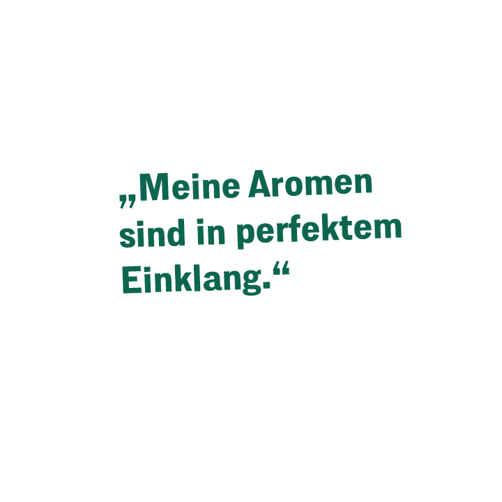 Sprechblase Aromatico ganze Bohne