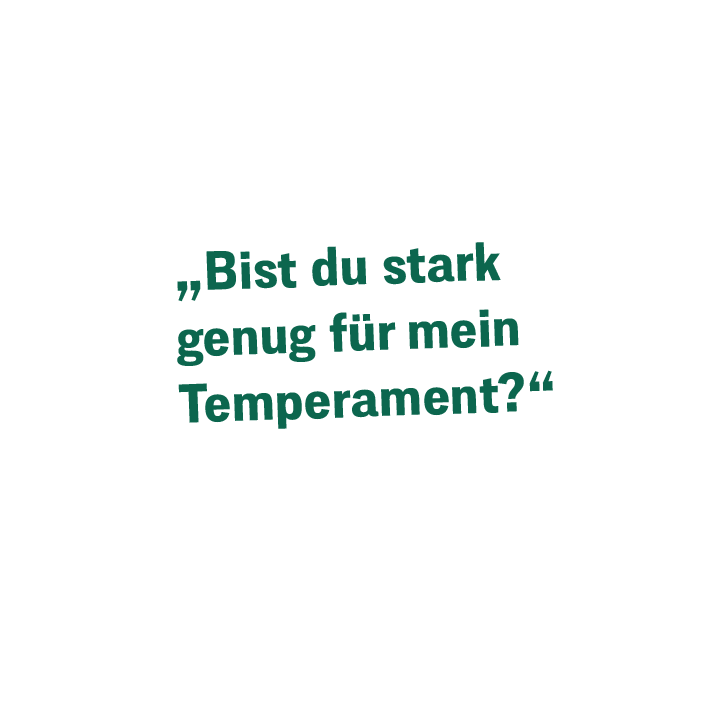 Sprechblase Fuerte gemahlen