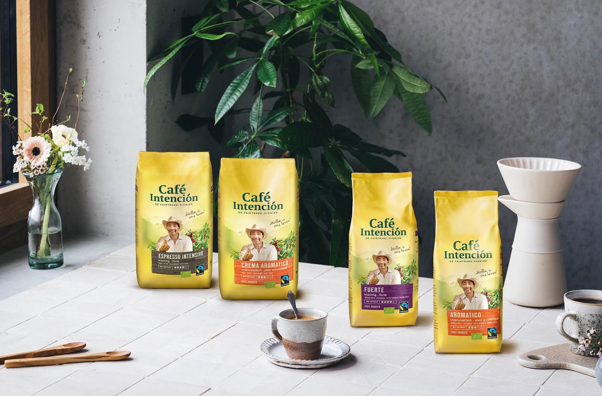 Unser Schattenbaumprojekt