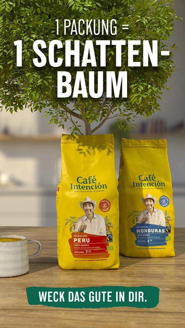 Unser Schattenbaumprojekt