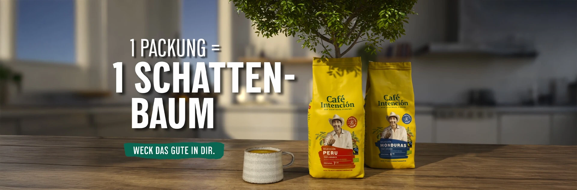 Unser Schattenbaumprojekt