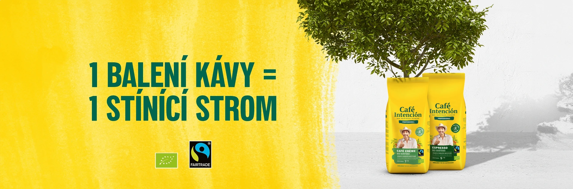 Unser Schattenbaumprojekt