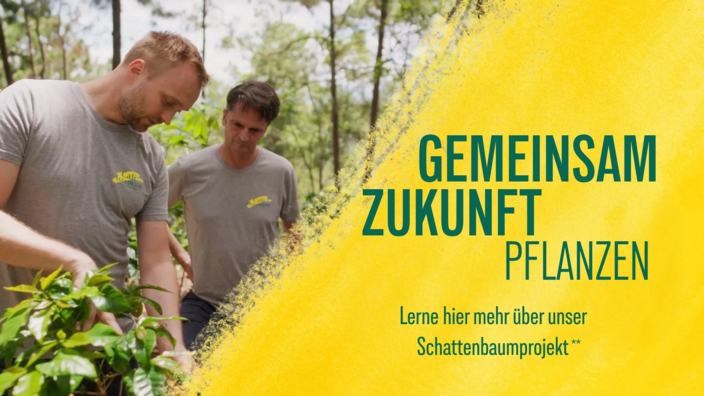Twee mannen werken samen op een koffieplantage en zetten zich in voor duurzame landbouw, met het oog op een zekere toekomst voor de koffieproductie.